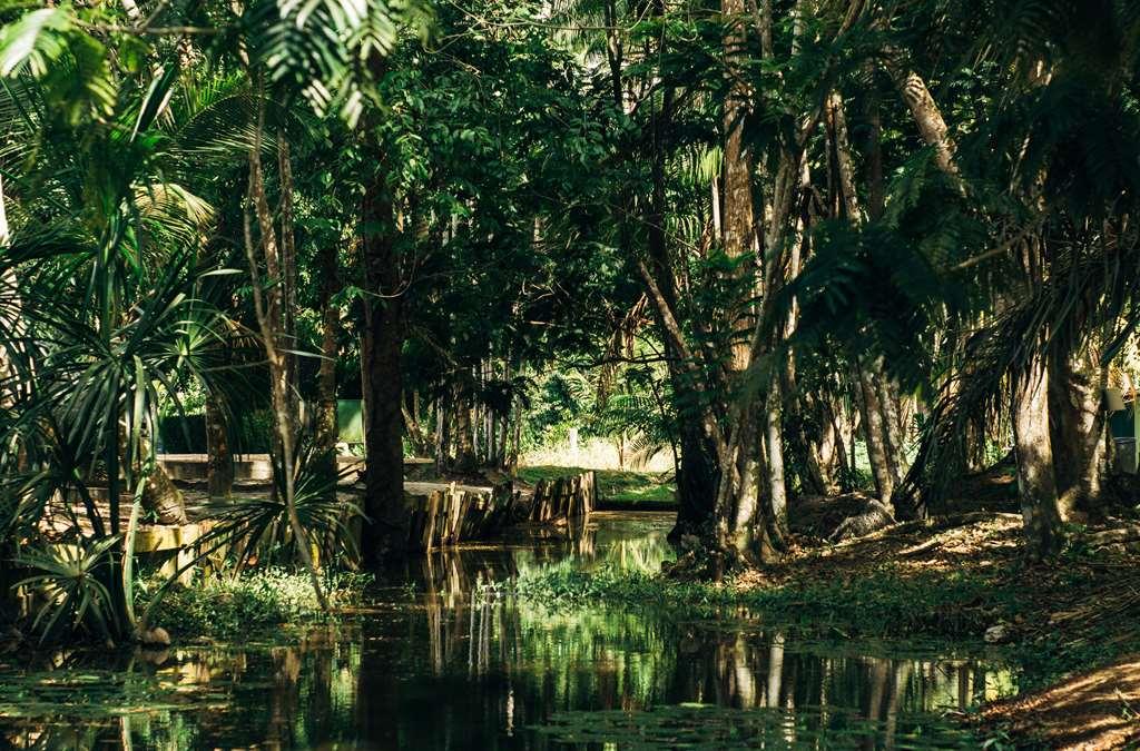 Overbridge River Resort Paramaribo Eksteriør billede